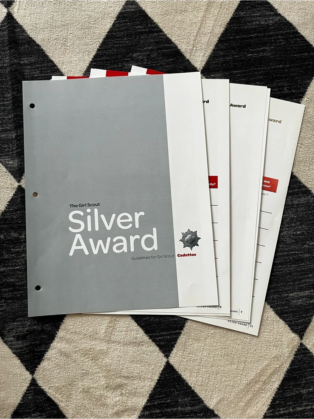 Girl Scout Silver Award Guidebook Set